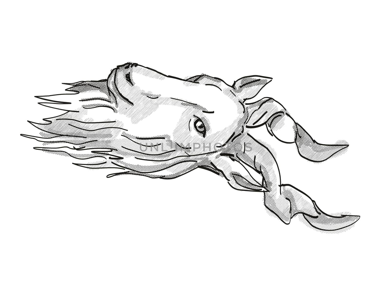 Retro cartoon style drawing of head of a markhor, a wild goat that is found in mountainous regions of western and central Asia and an endangered wildlife species done in black and white.