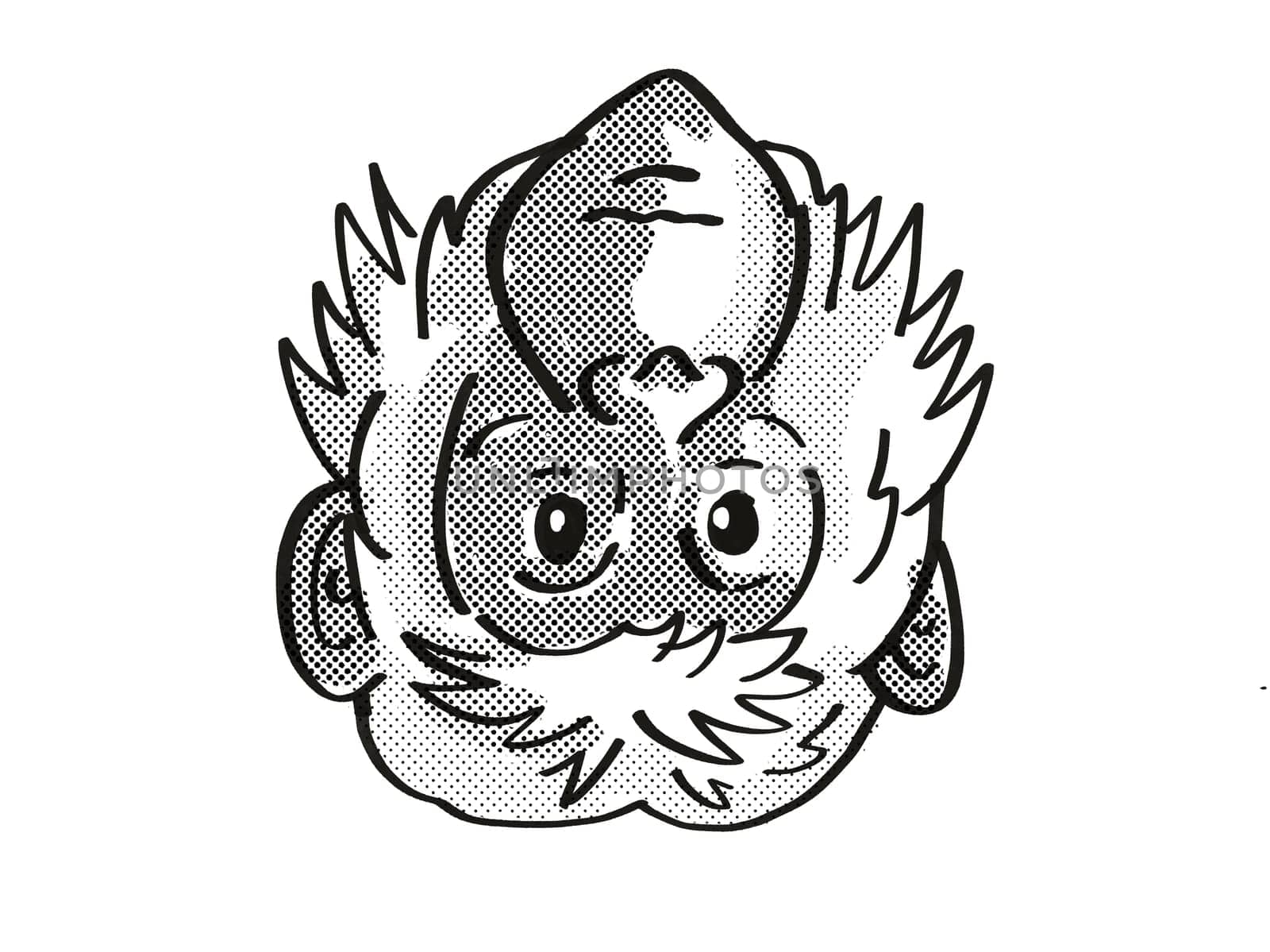 Retro cartoon mono line style drawing of head of a Bonobo or Pan paniscus, an endangered wildlife species on isolated white background done in black and white.