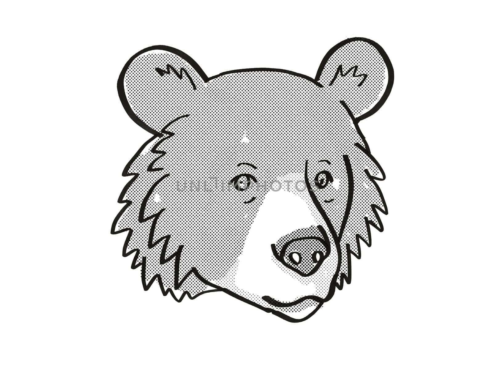 Retro cartoon mono line style drawing of head of an Asiatic Black Bear or Ursus tibetanus, an endangered wildlife species on isolated white background done in black and white.