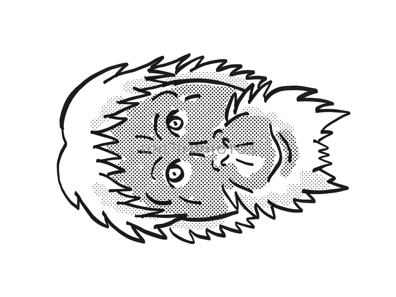 Retro cartoon mono line style drawing of head of a Sumatran Orang-utan or Pongo abelii, an endangered wildlife species on isolated white background done in black and white.