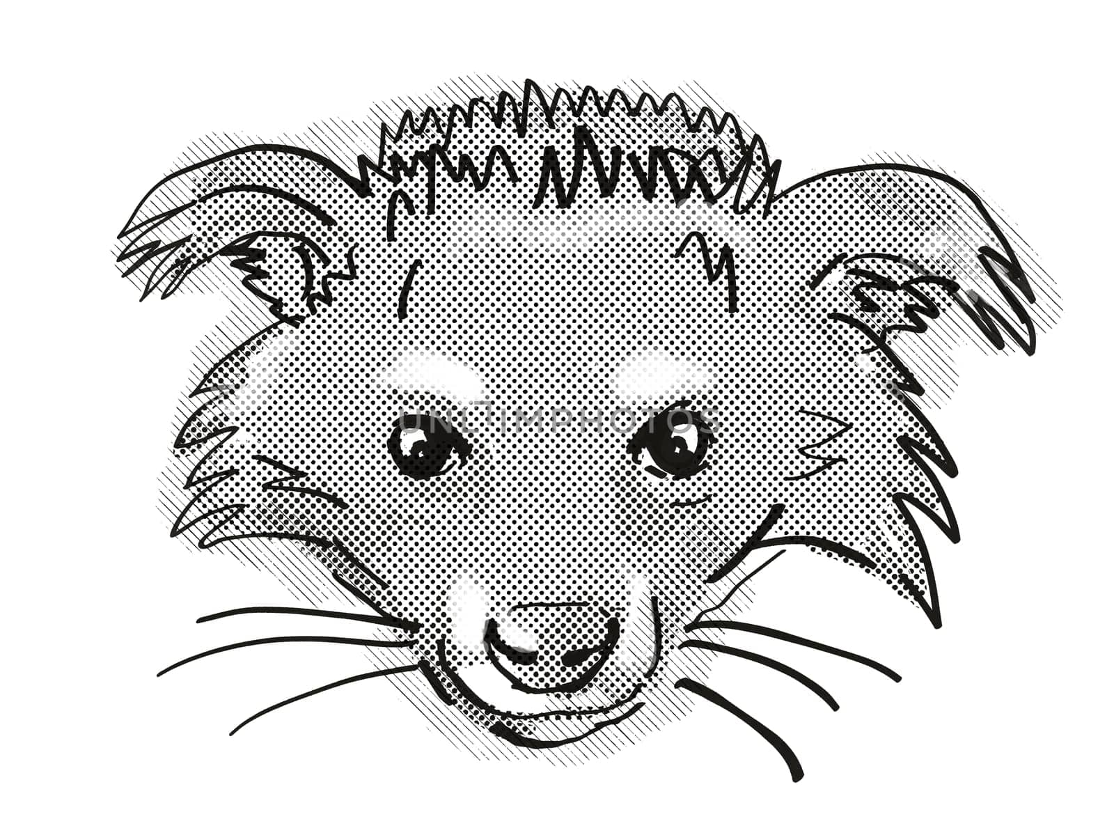 Retro cartoon style drawing of head of a Binturong or Arctictis binturong, an endangered wildlife species on isolated white background done in black and white.