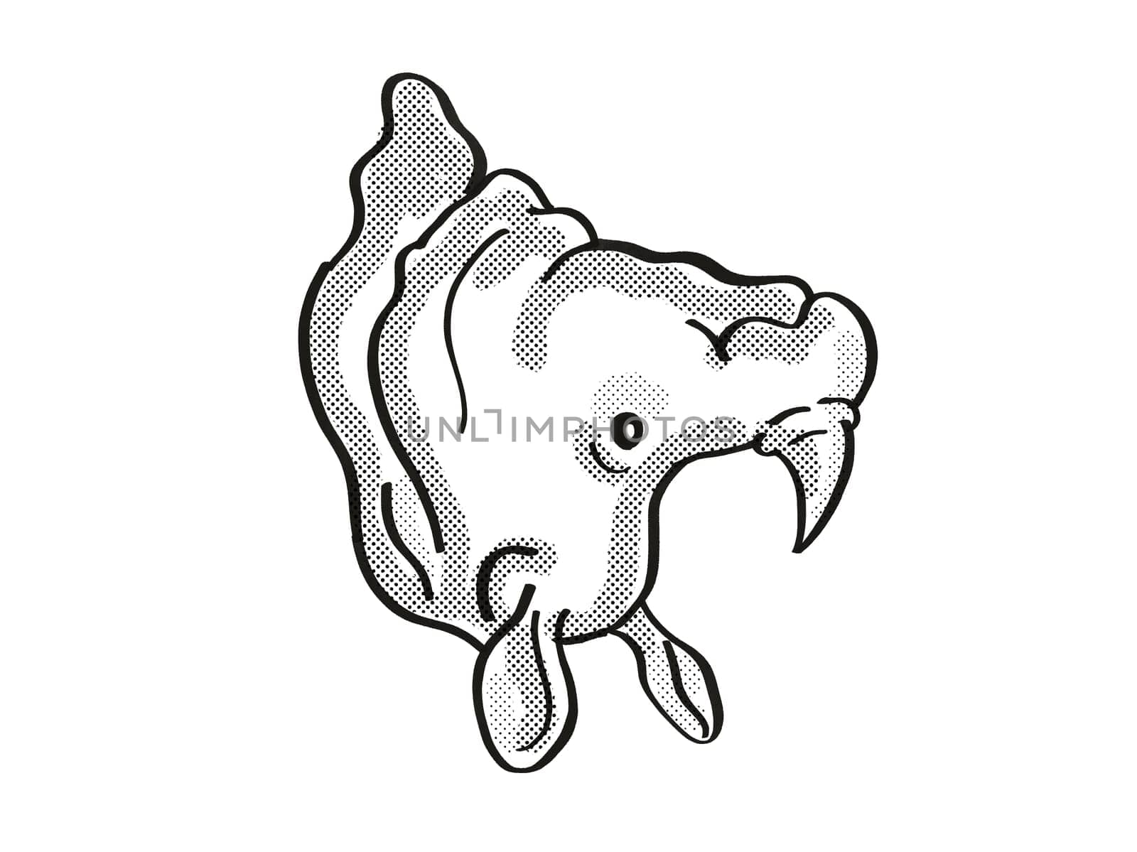 Retro cartoon mono line style drawing of head of a Greater one-horned rhino or Indian rhino, an endangered wildlife species on isolated white background done in black and white.