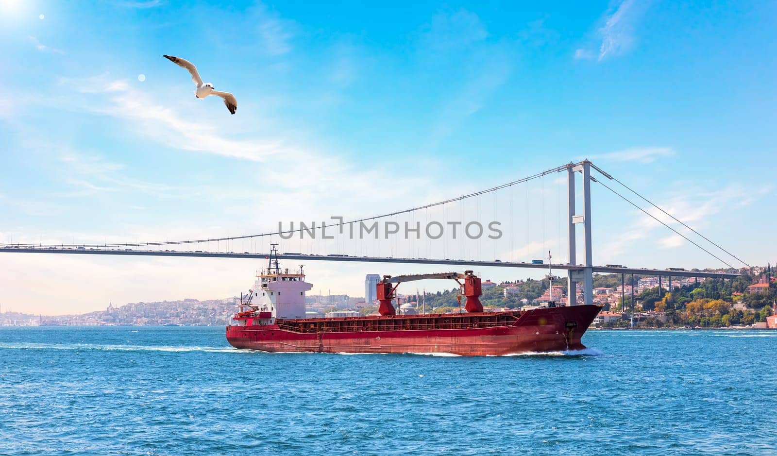 A ship in the Marmara sea and the Bosphorus bridge, Istanbul.