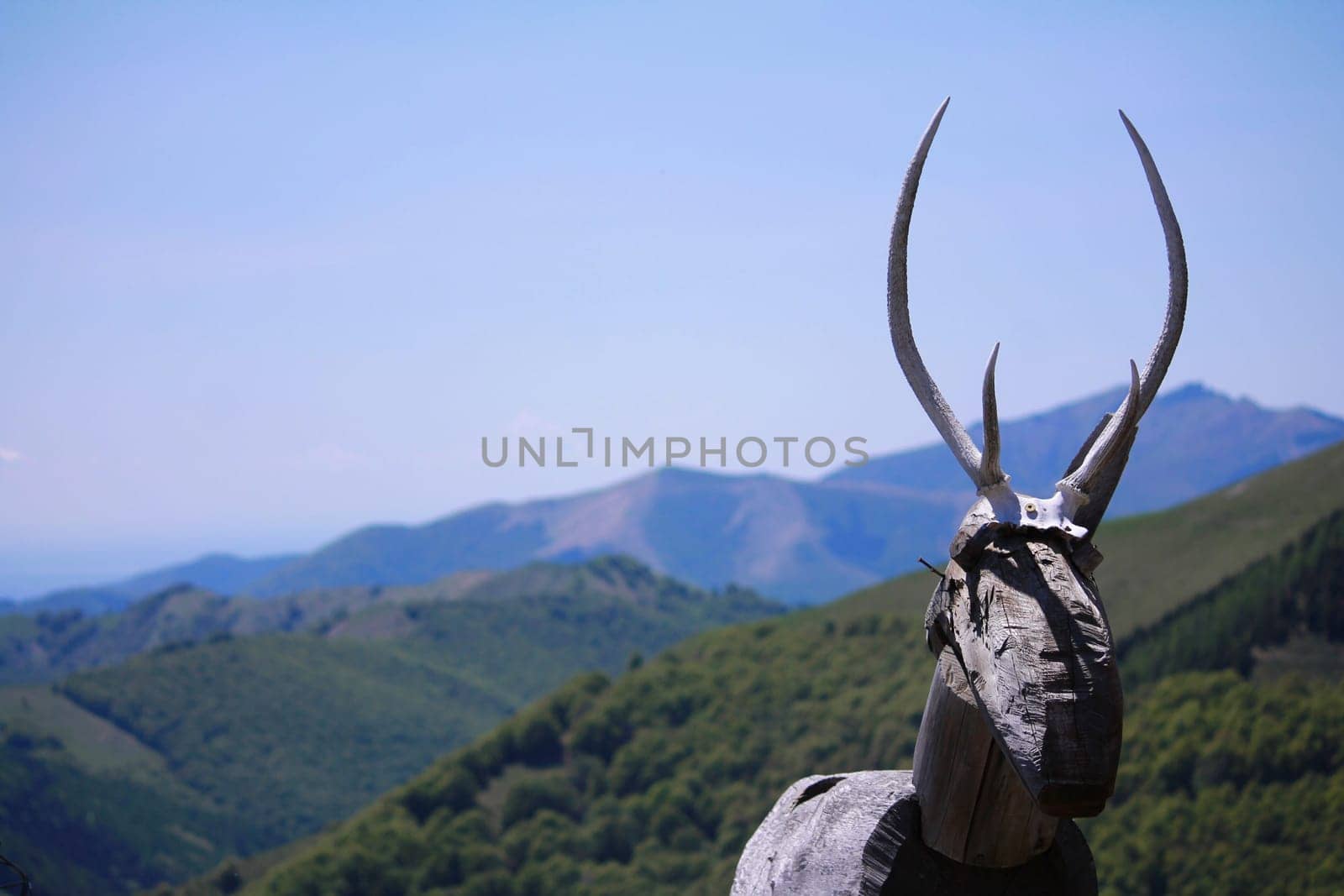 The wooden deer sculpture