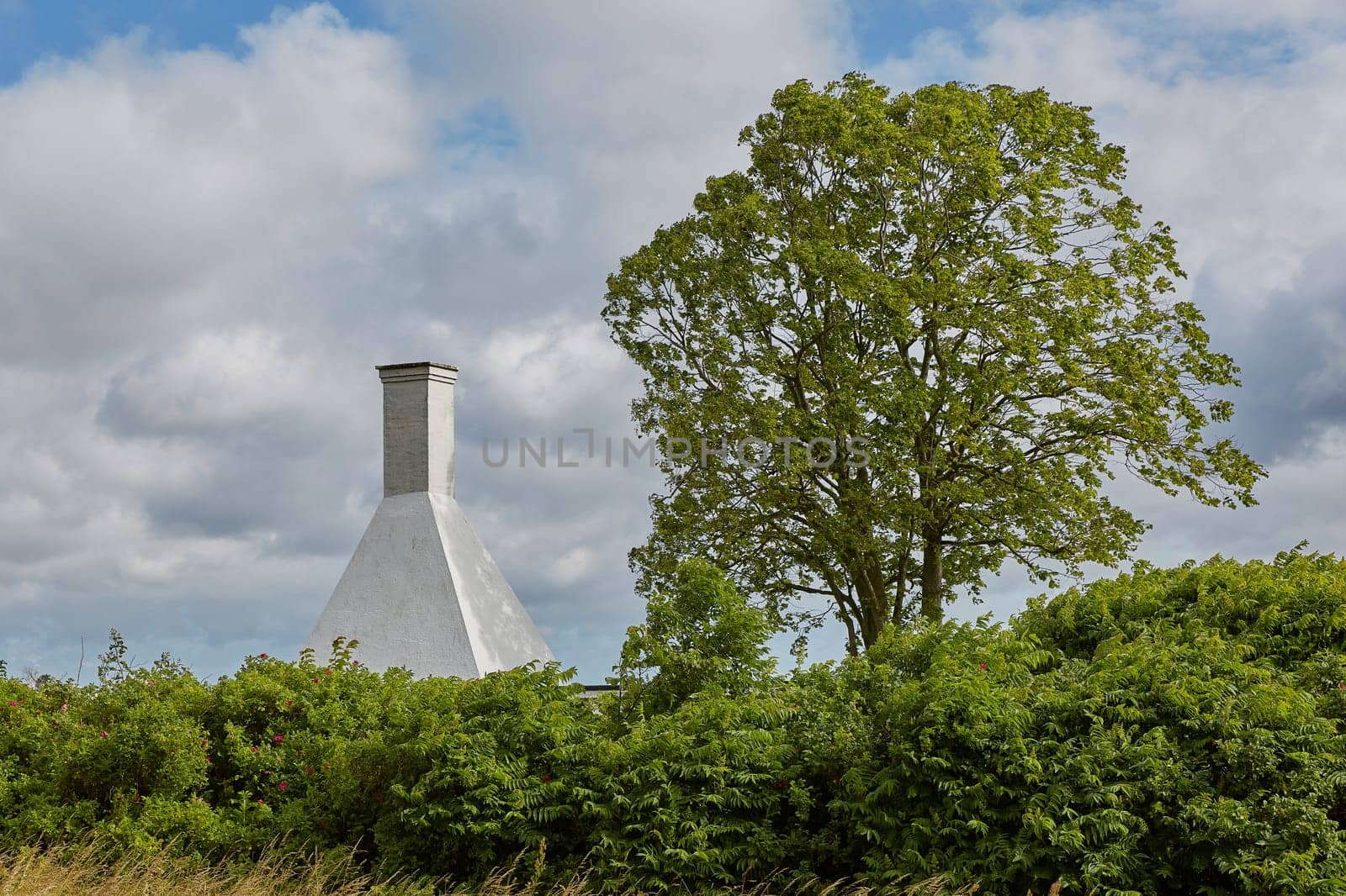 The roofs and chimneys of very small smoke houses so typical and famous for small village of Svaneke on Bornholm island in Denmark.