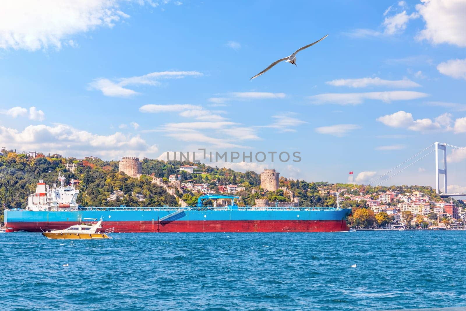 Big cargo ship in the Bosphorus near the Rumelian castle, Istanbul.