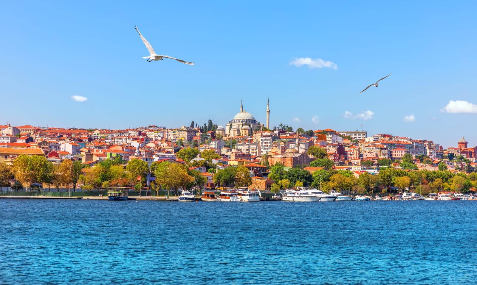 The Bosphorus shore and one of the Istanbul Mosques, Turkey.