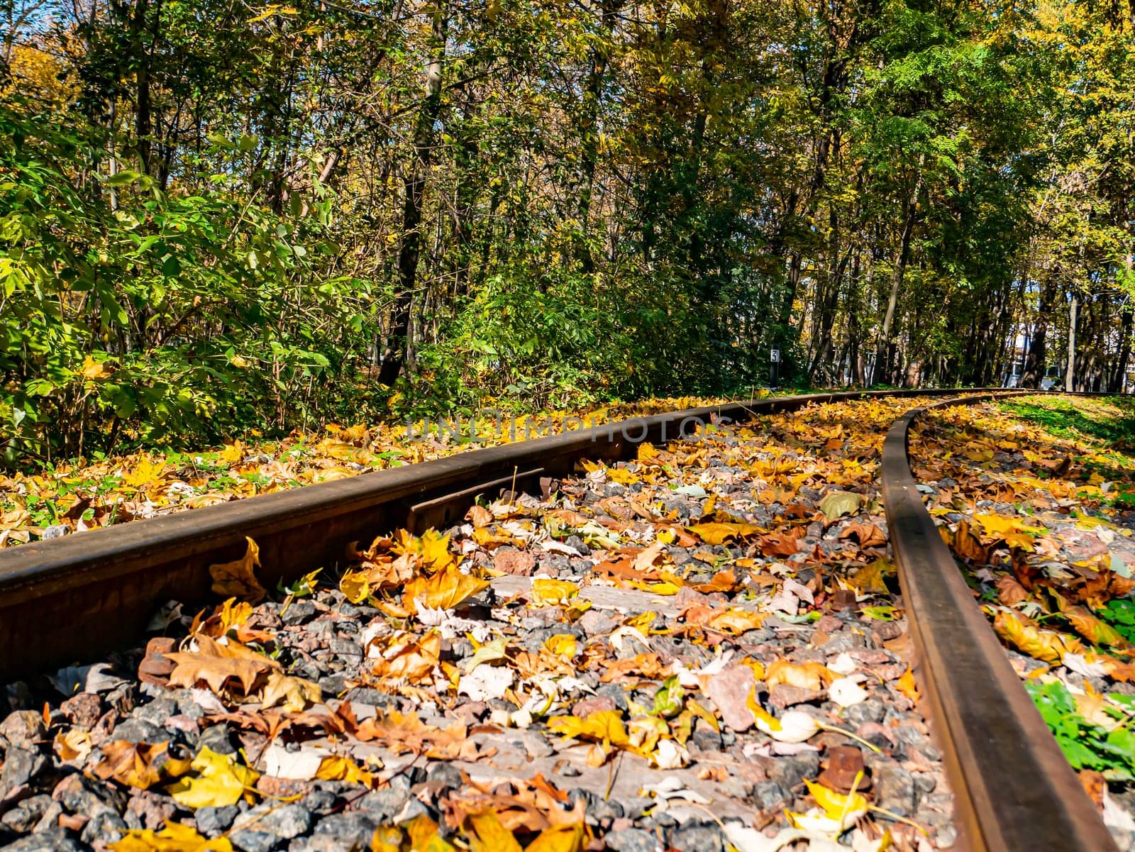 Old railway rails in autumn foliage. Transport.