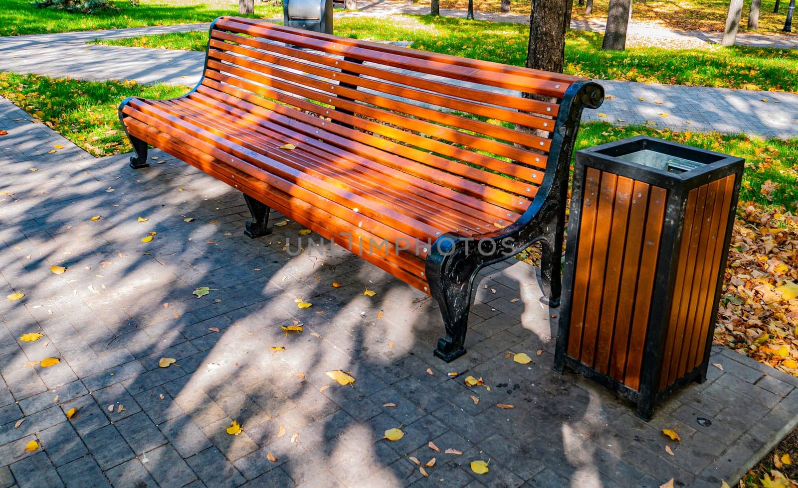 Wooden bench in a public park. Recreation.