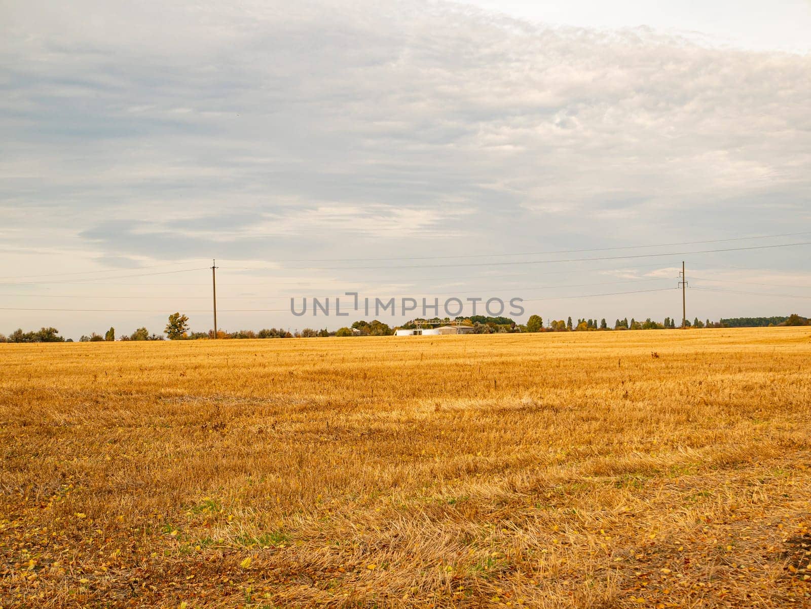 Farm field after harvest in the fall. Agriculture. Place for text.