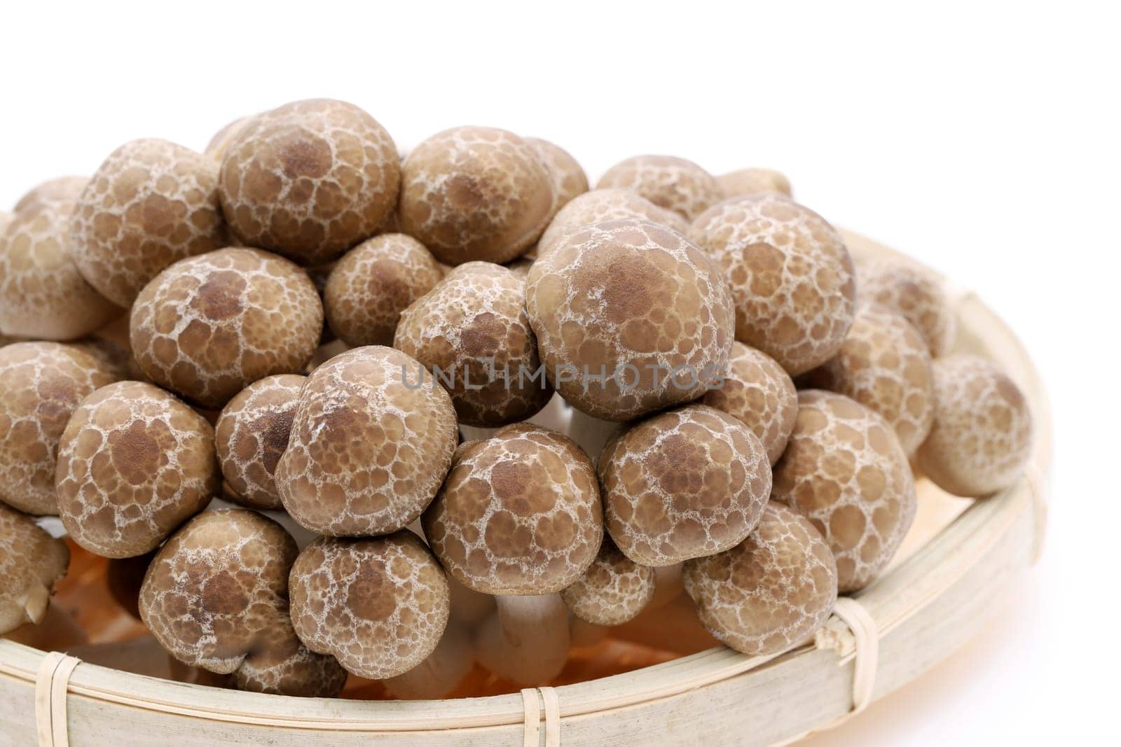 Japanese fresh shimeji mushroom in a bamboo basket