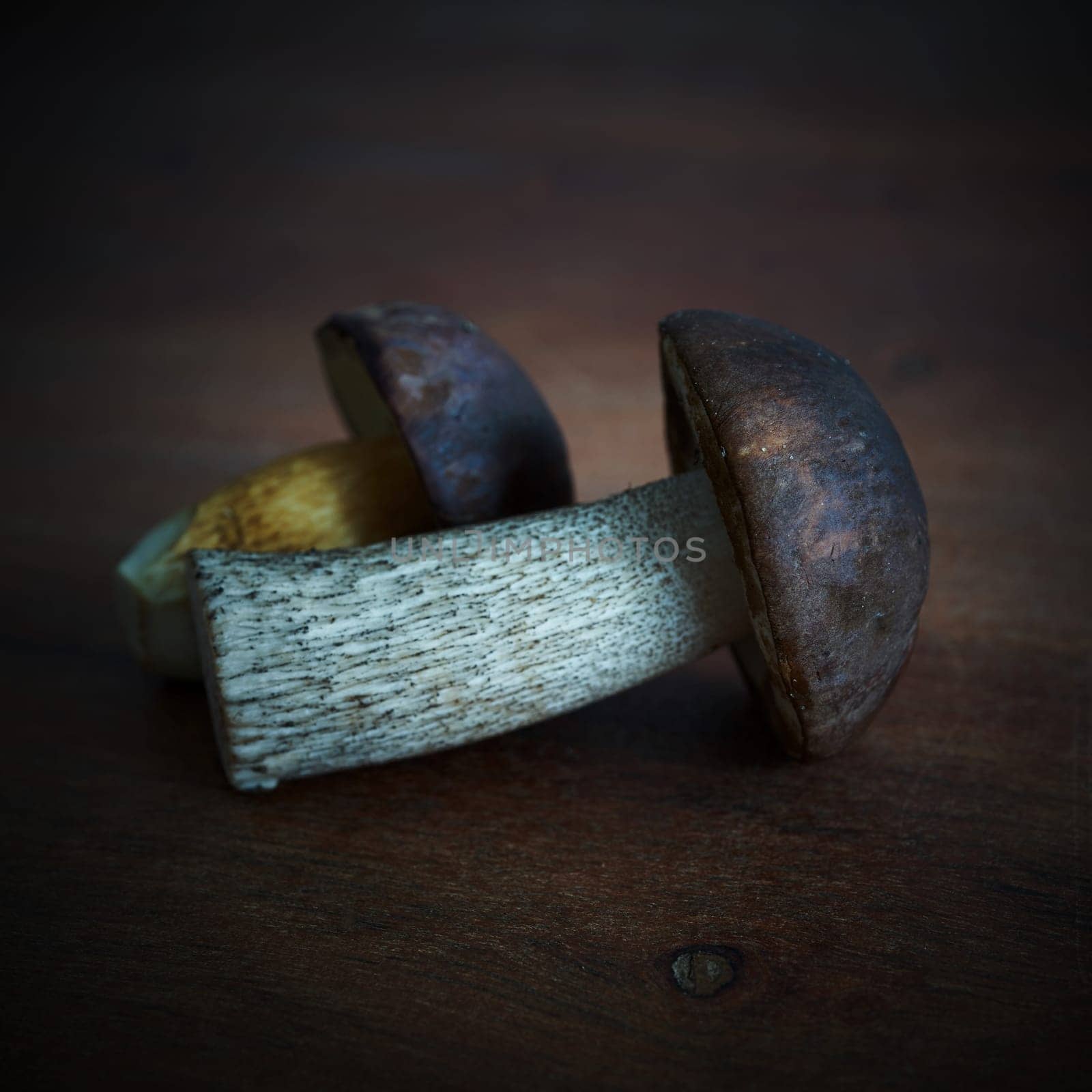 a Birch mushroom (Leccinum scabrum) and a bay bolete (Imleria badia) on a kitchen table
