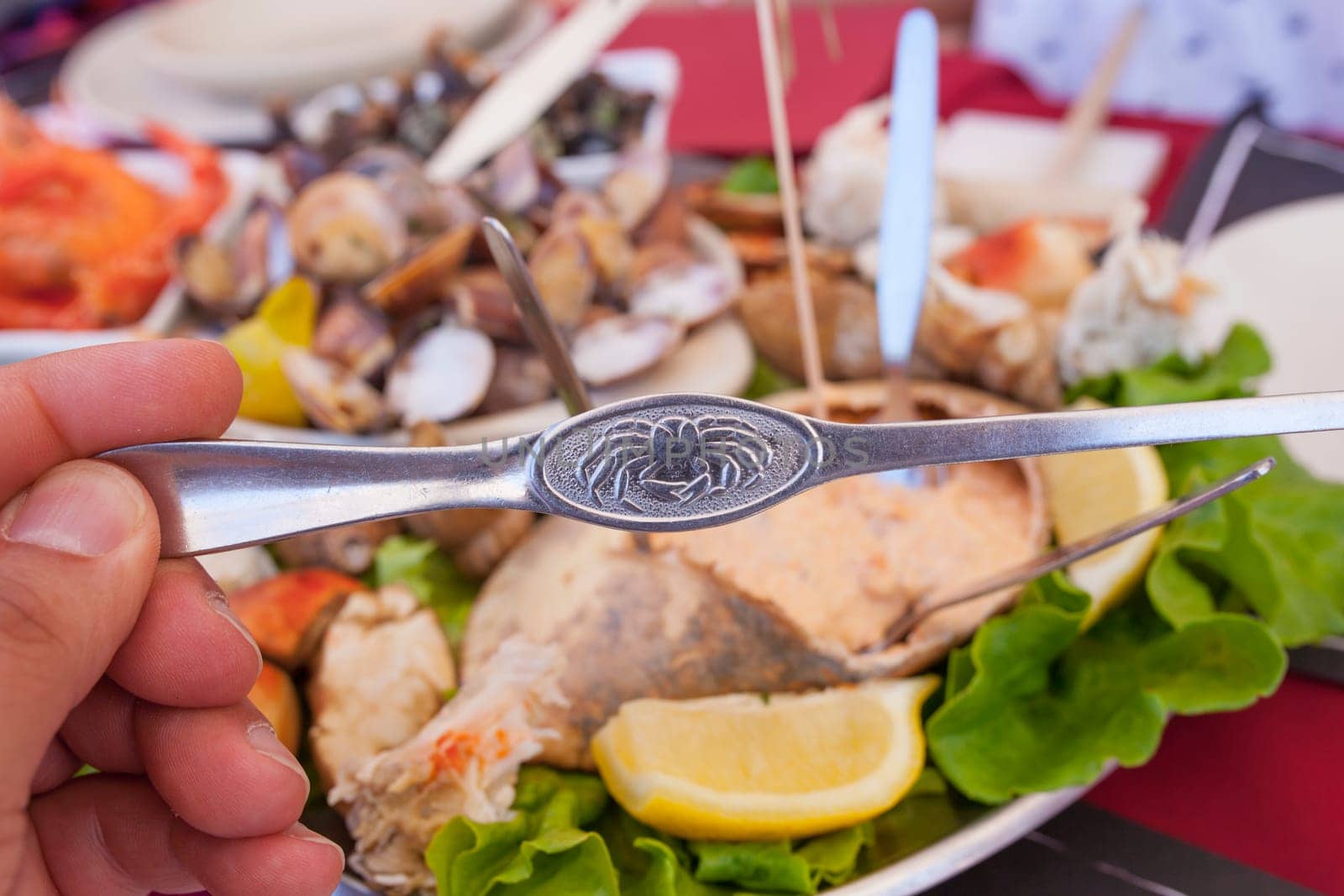 Brown crab fork and portuguese seafood meal or marisqueira as background