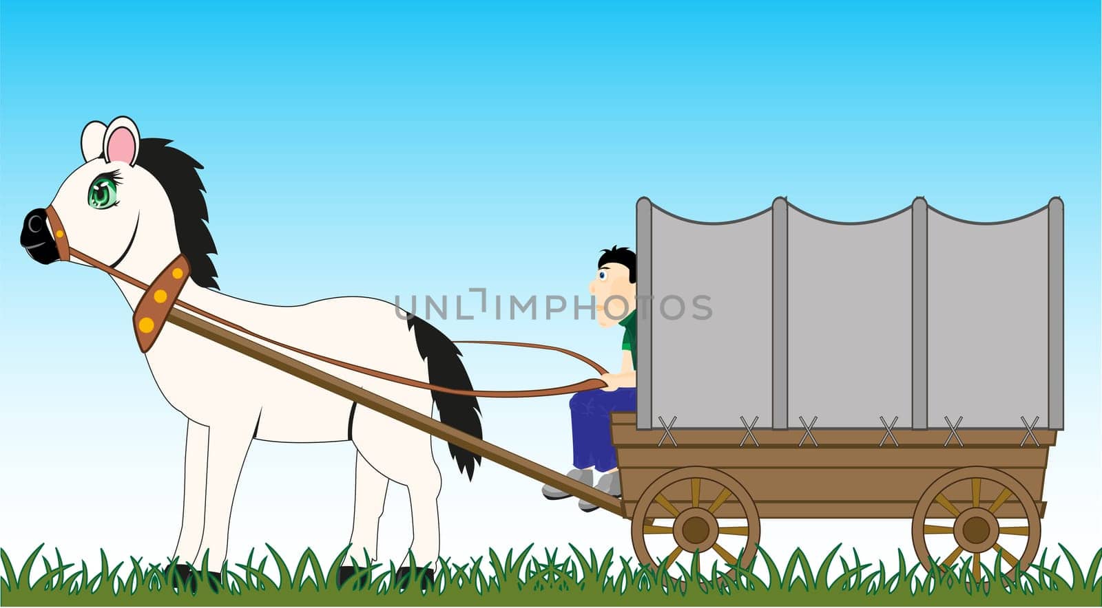 Horse with coated by tarpaulin by vehicle and coachman