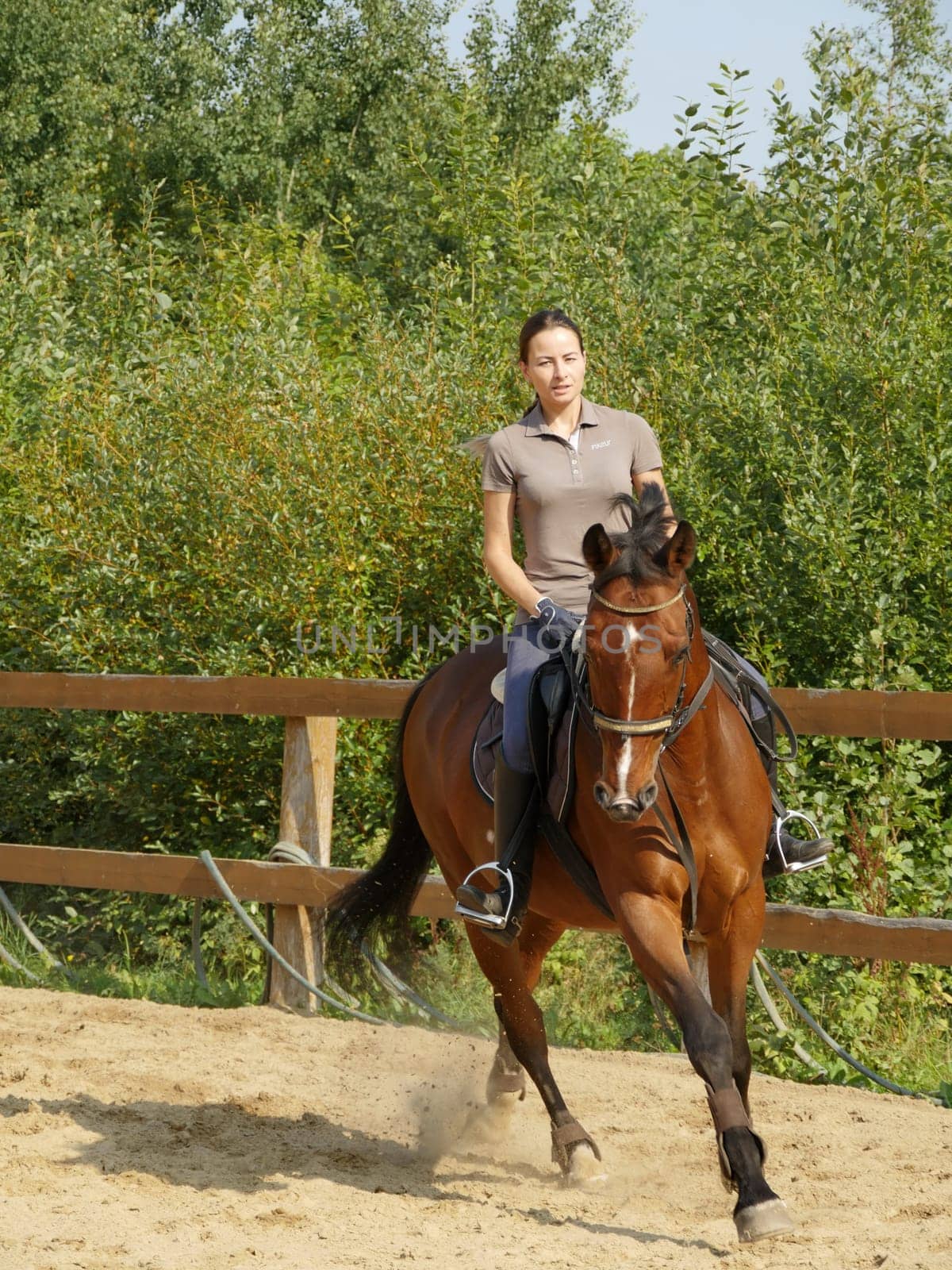 St. Petersburg, Russia, august 19, 2019 Woman jockey riding a horse, horse trotting