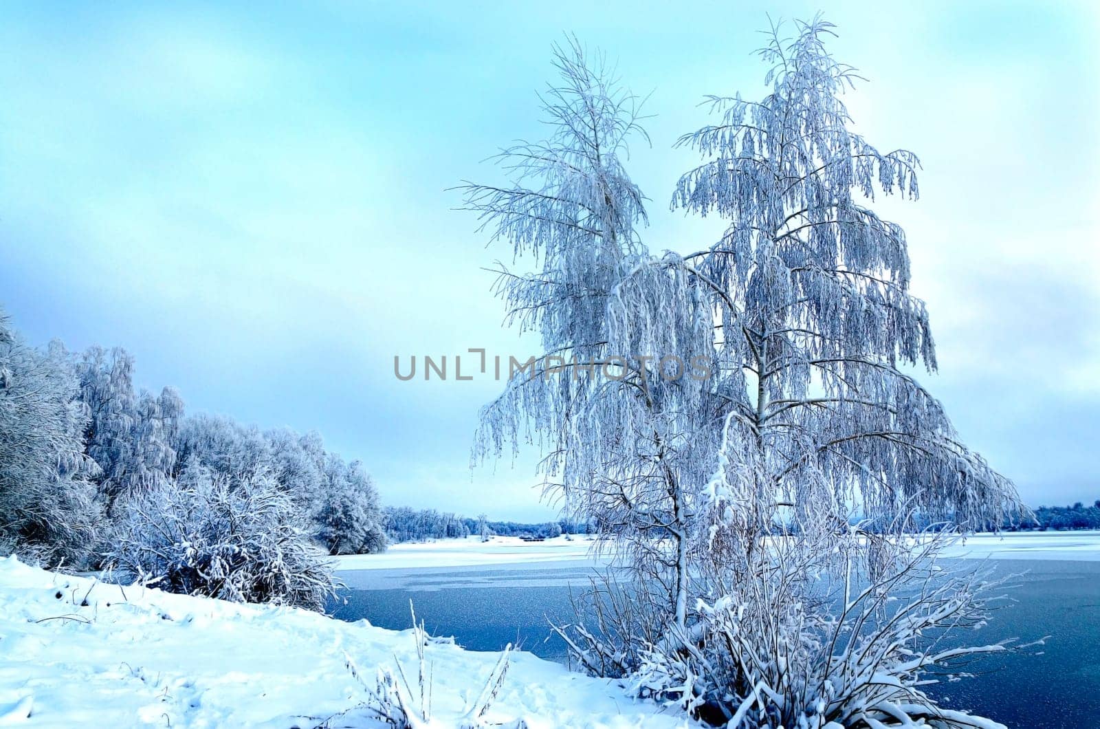 Winter landscape with trees, covered with hoarfrost and views on the frozen lake