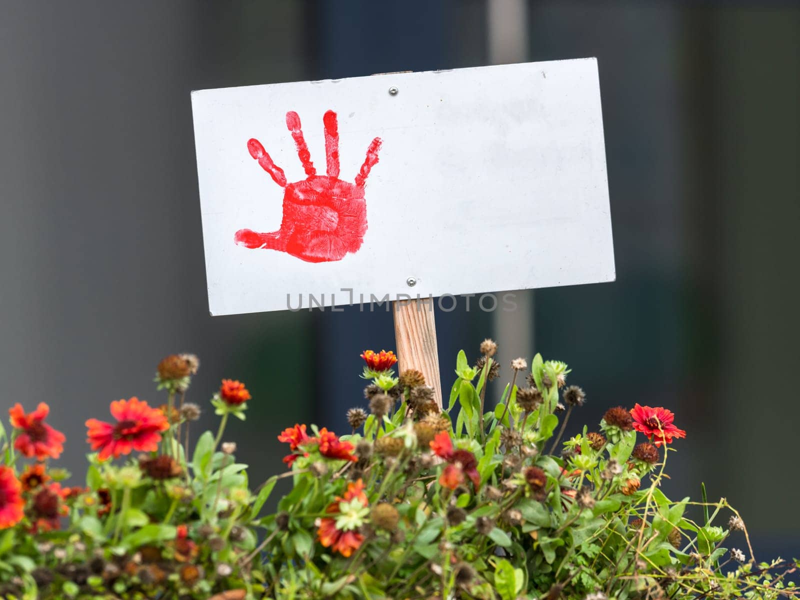 Shield with painted red hand stands in a flowerbed with copy space and blurred background