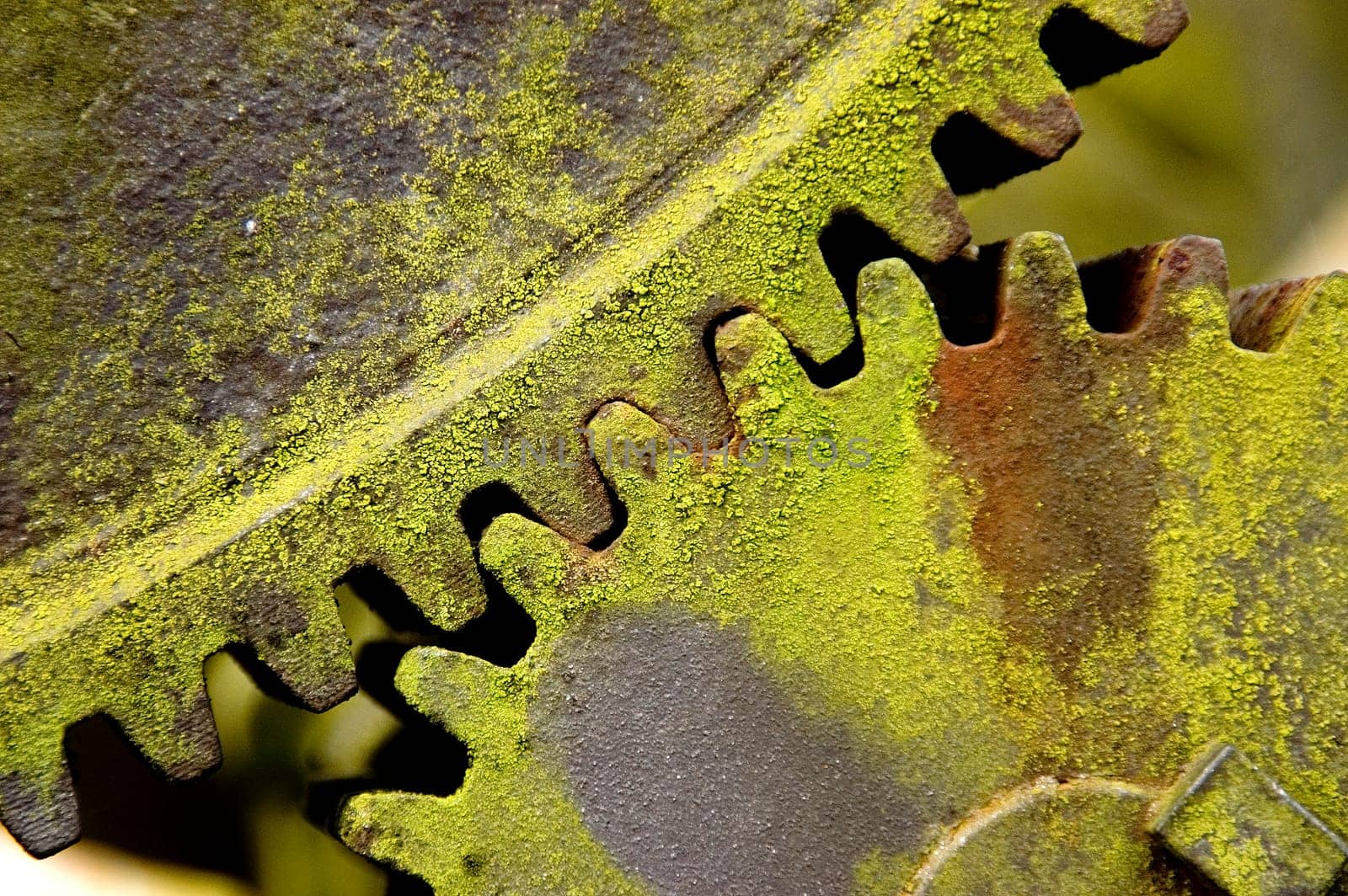 Close up of two old weathered pump gears covered with green lichen. With space for copy