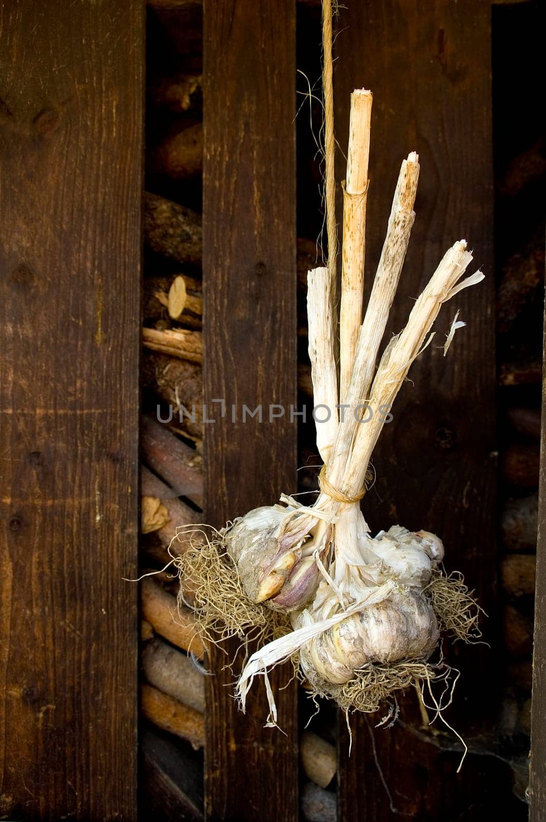 Some homegrown drying garlic nodules hanging from a hemp string in front of a shed