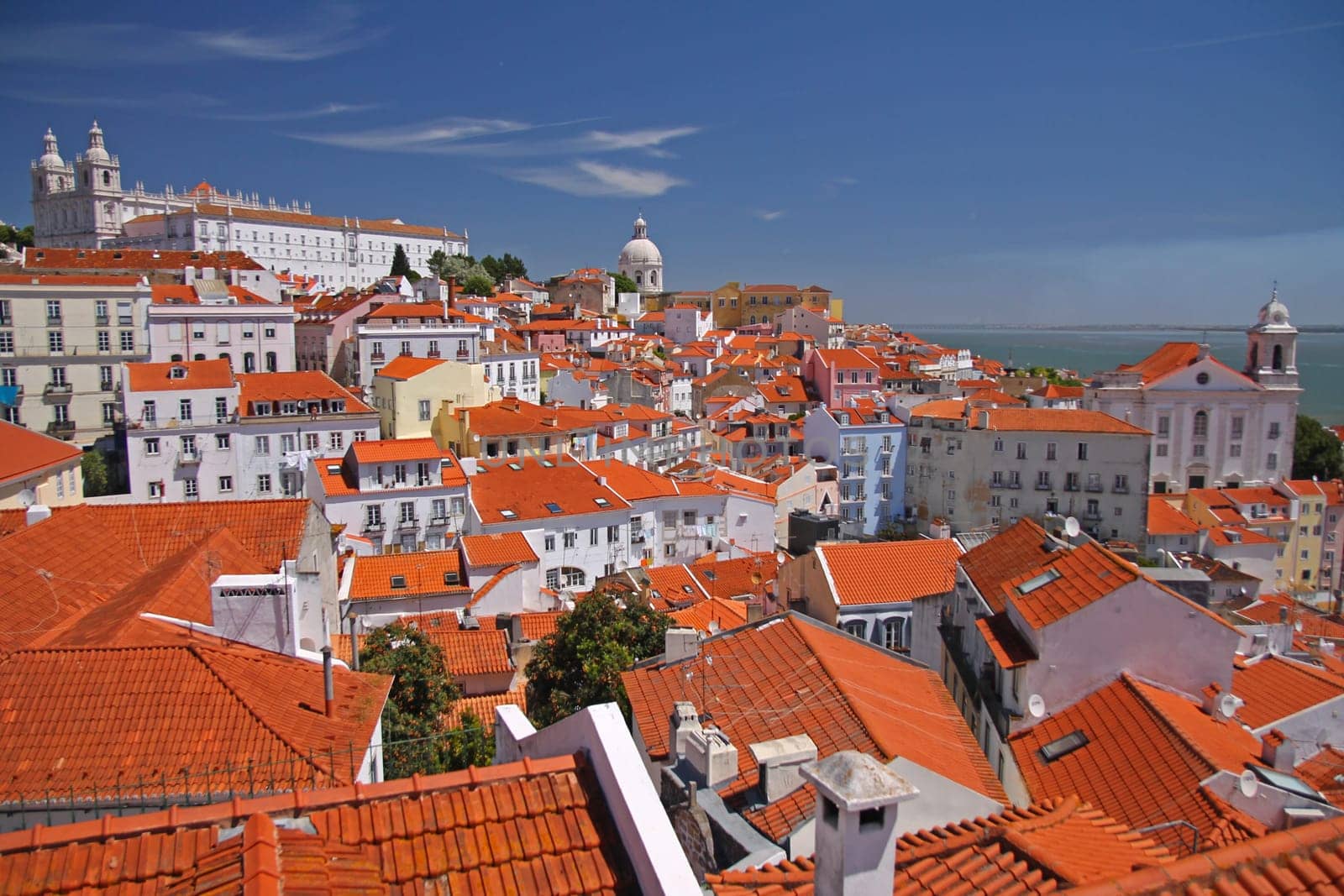 Colorful panorama of Lisbon with red roves