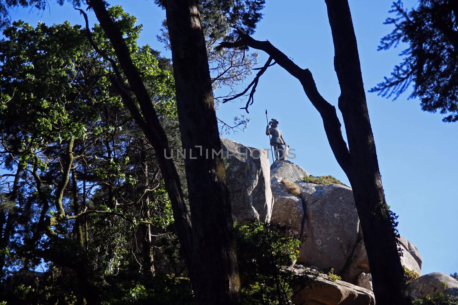 The soldier on the rock in the woods