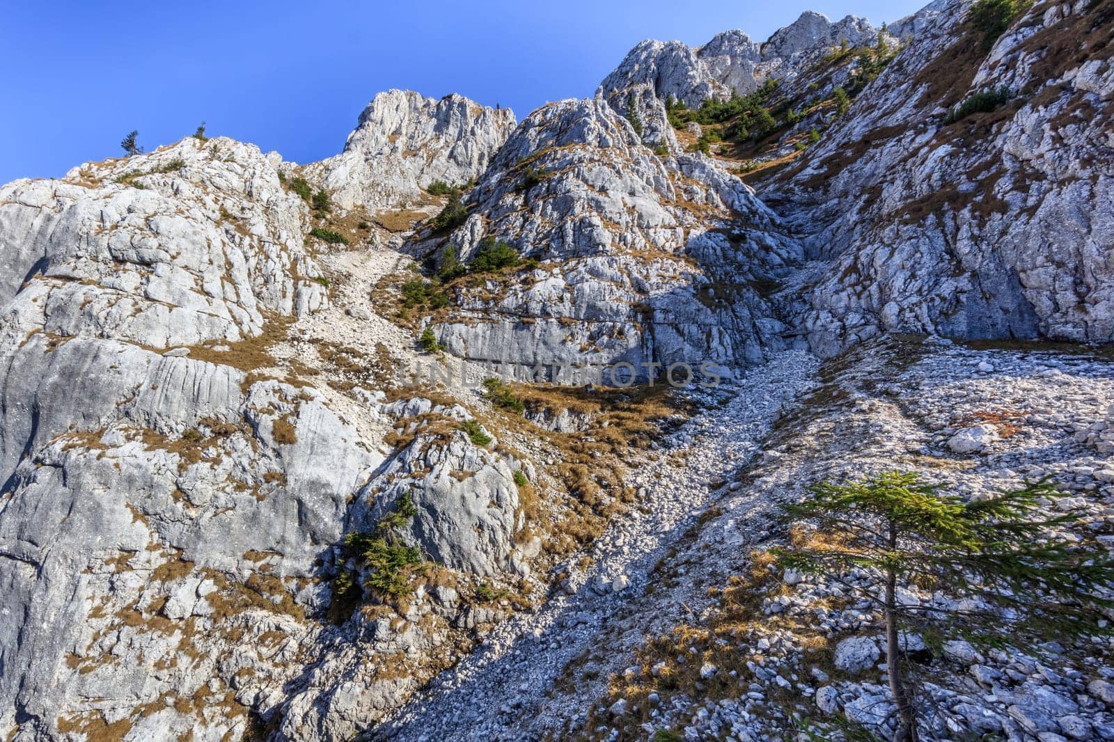 mountain landscape in Piatra Craiului Mountains, Romania