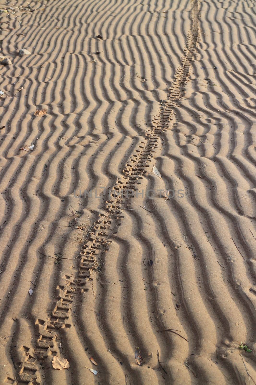 imprint of a motorcycle wheel on the sand of a beach