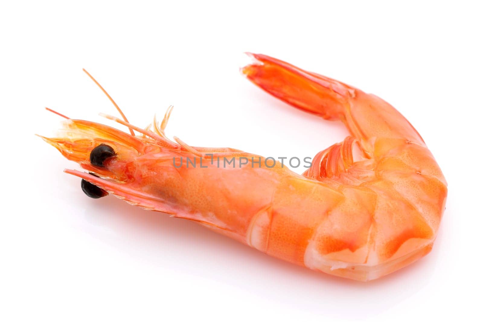 Close uo of red raw shrimps on a white background