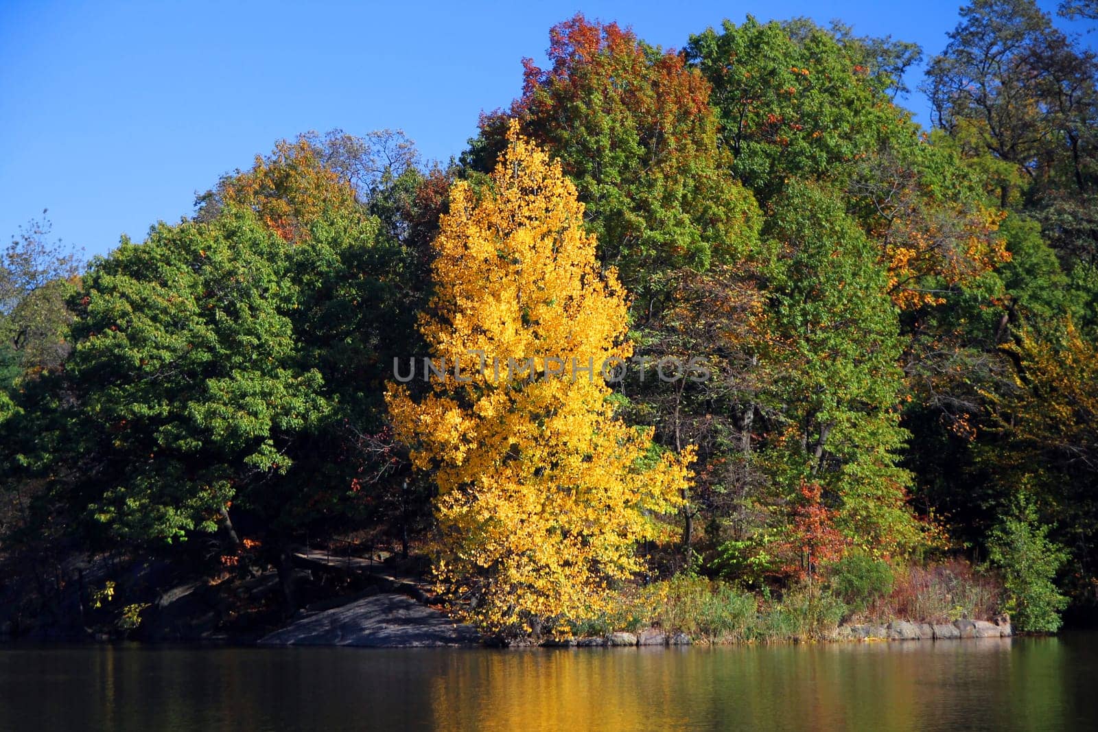 The reflection of the colors of autumn