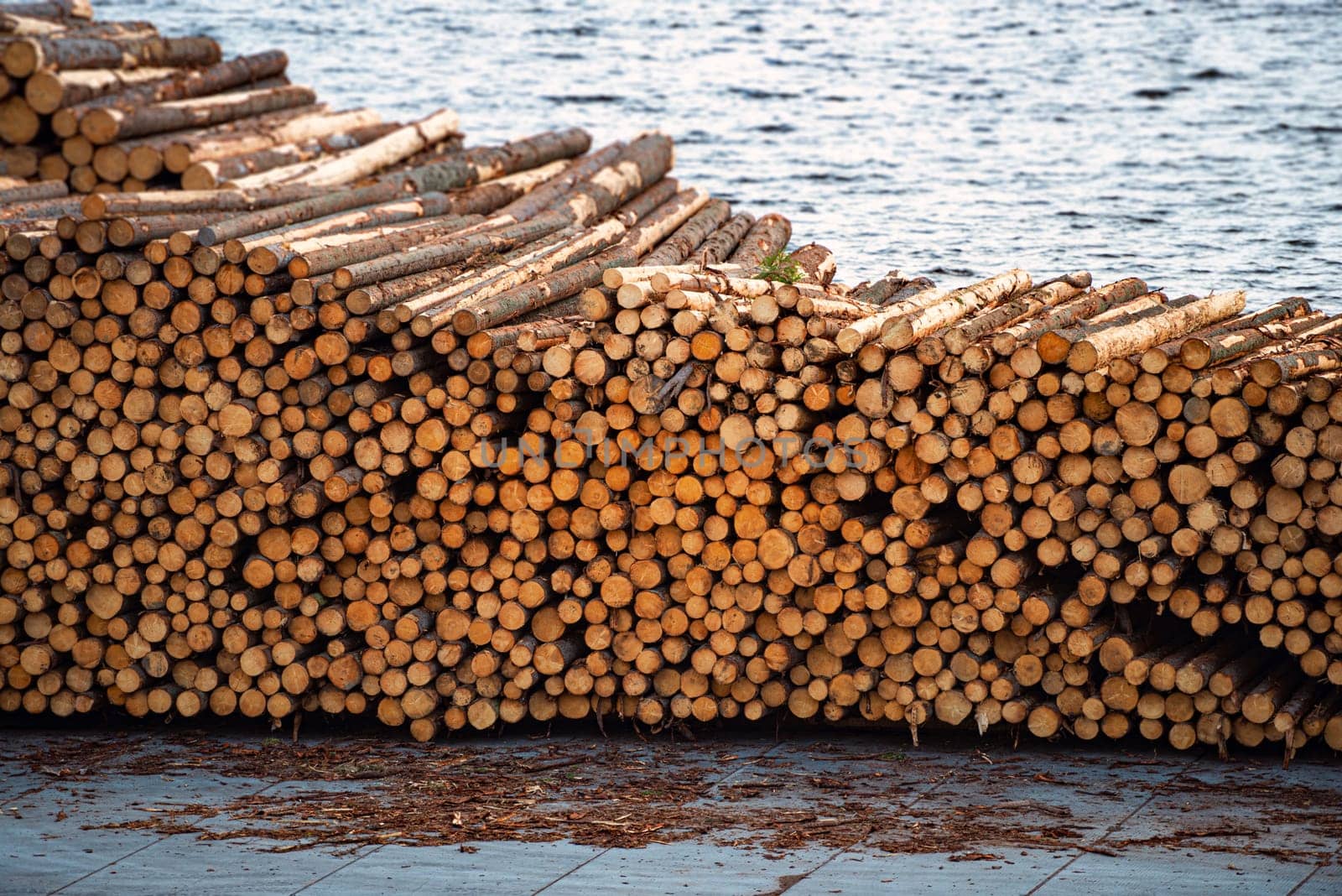 Stacks of wooden logs at docks ready to be shipped