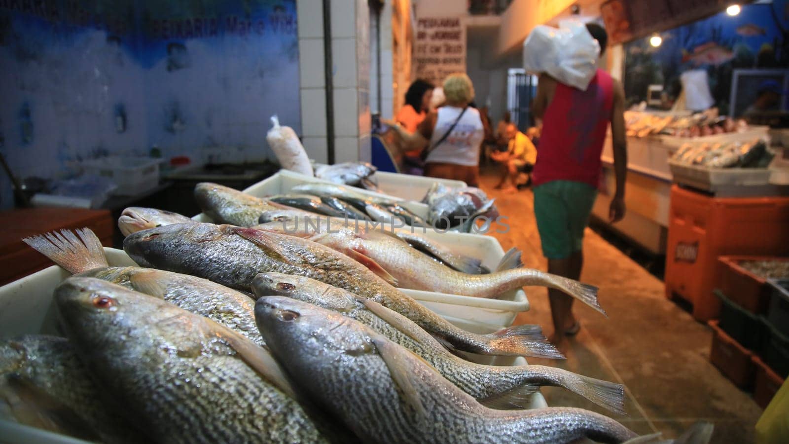 SALVADOR, BAHIA / BRAZIL - November 6, 2019: Fish and seafood for sale at the São Joaquim Fair in Salvador (BA). Due to oil spills in the Brazilian Sea, traders complain that they are not selling fish. (Joa Souza / Panthermedia).