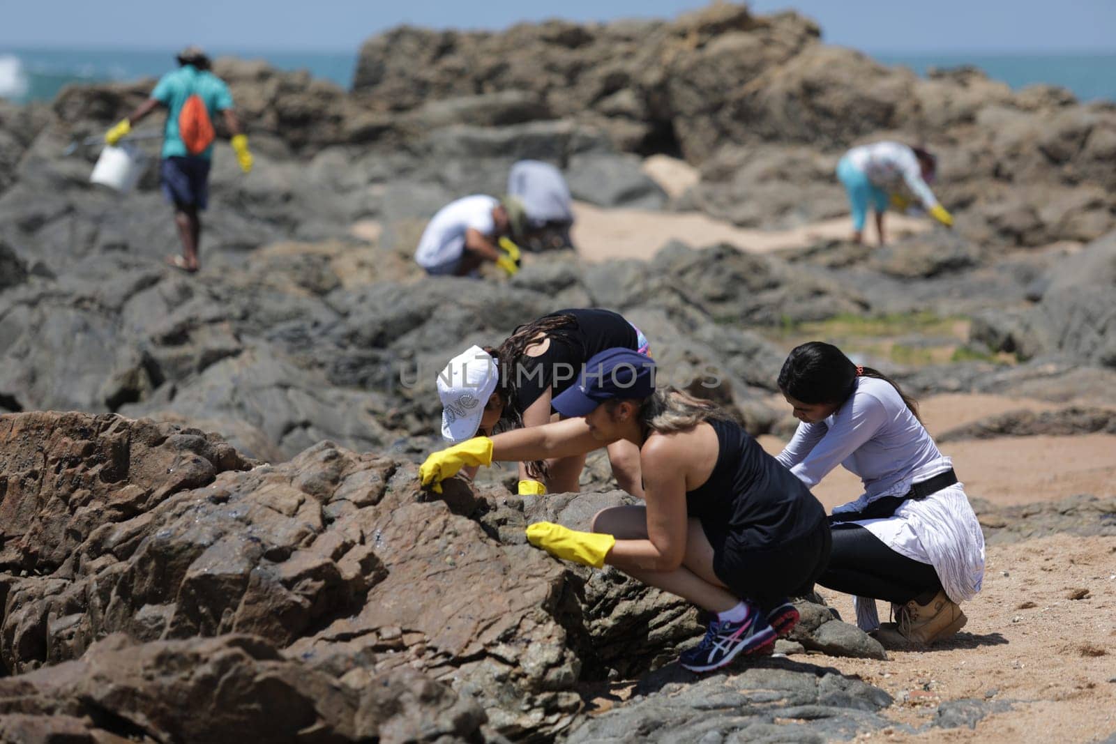 SALVADOR, BAHIA / BRAZIL - October 13, 2019: Volunteers clean up oil at Jardim de Alah Beach, the site was affected by oil spills at sea (Joa Souza / Panthermedia).