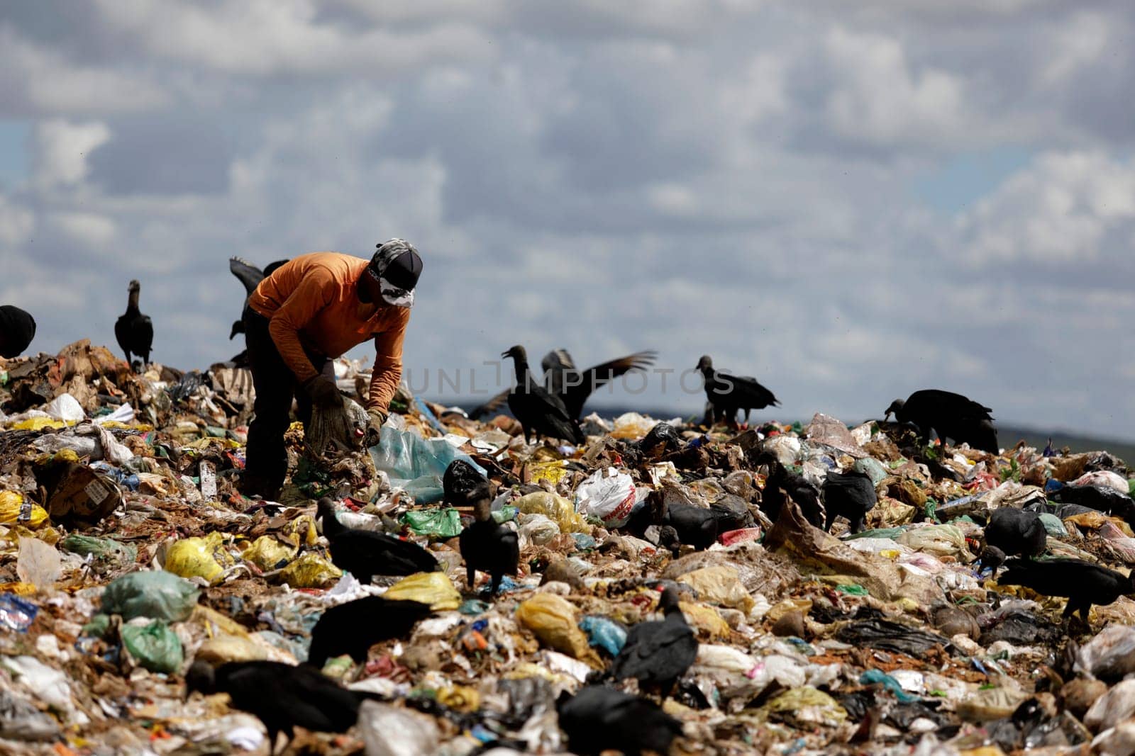 ALAGOINHAS, BAHIA / BRAZIL - May 2, 2019: People are seen collecting material for recycling in city landfill  (Joa Souza / Panthermedia).