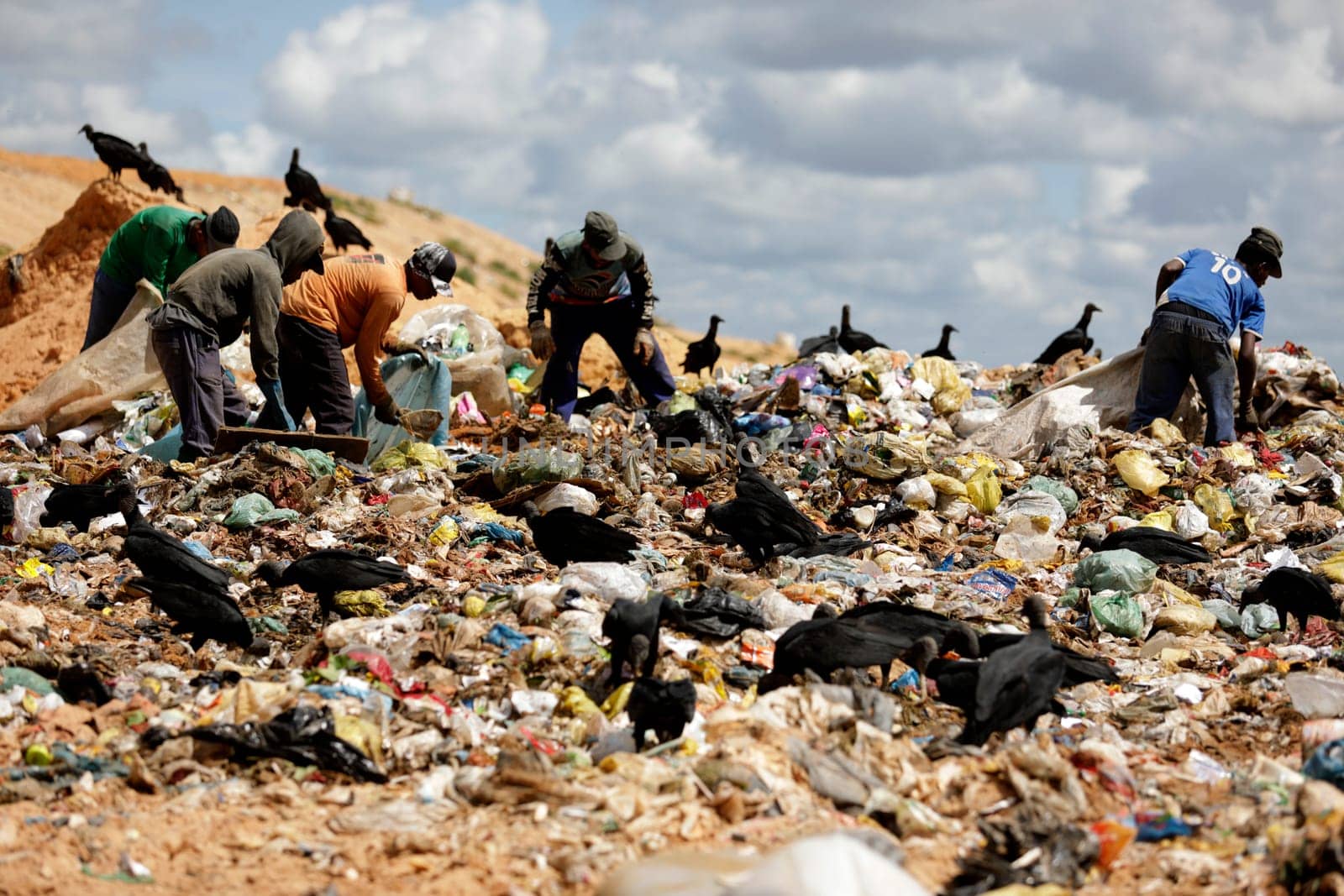 ALAGOINHAS, BAHIA / BRAZIL - May 2, 2019: People are seen collecting material for recycling in city landfill  (Joa Souza / Panthermedia).