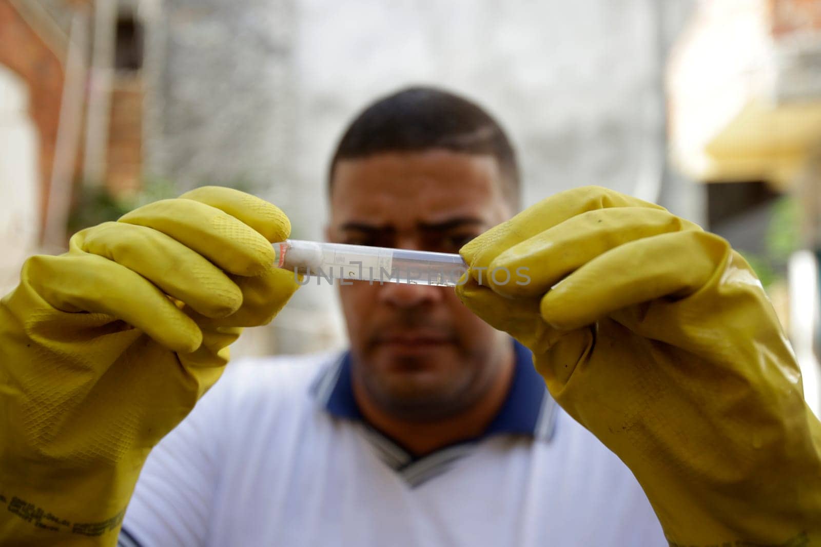 SALVADOR , BAHIA/BRAZIL -  July 5, 2019: Health agent collects sample of Aedes aegypti mosquito larva during a survey of real estate in the neighborhood of Boca do Rio in Salvador (BA).  (Joa Souza / Panthermedia).