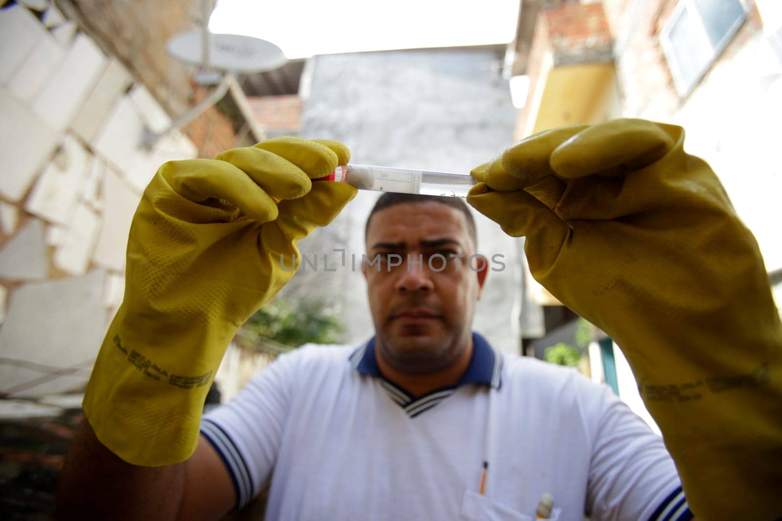SALVADOR , BAHIA/BRAZIL -  July 5, 2019: Health agent collects sample of Aedes aegypti mosquito larva during a survey of real estate in the neighborhood of Boca do Rio in Salvador (BA).  (Joa Souza / Panthermedia).
