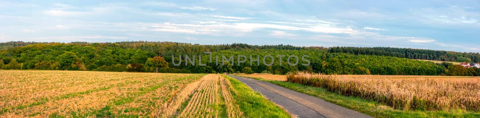 Summer farmland panorama in Hessen Germany on a beautiful day.