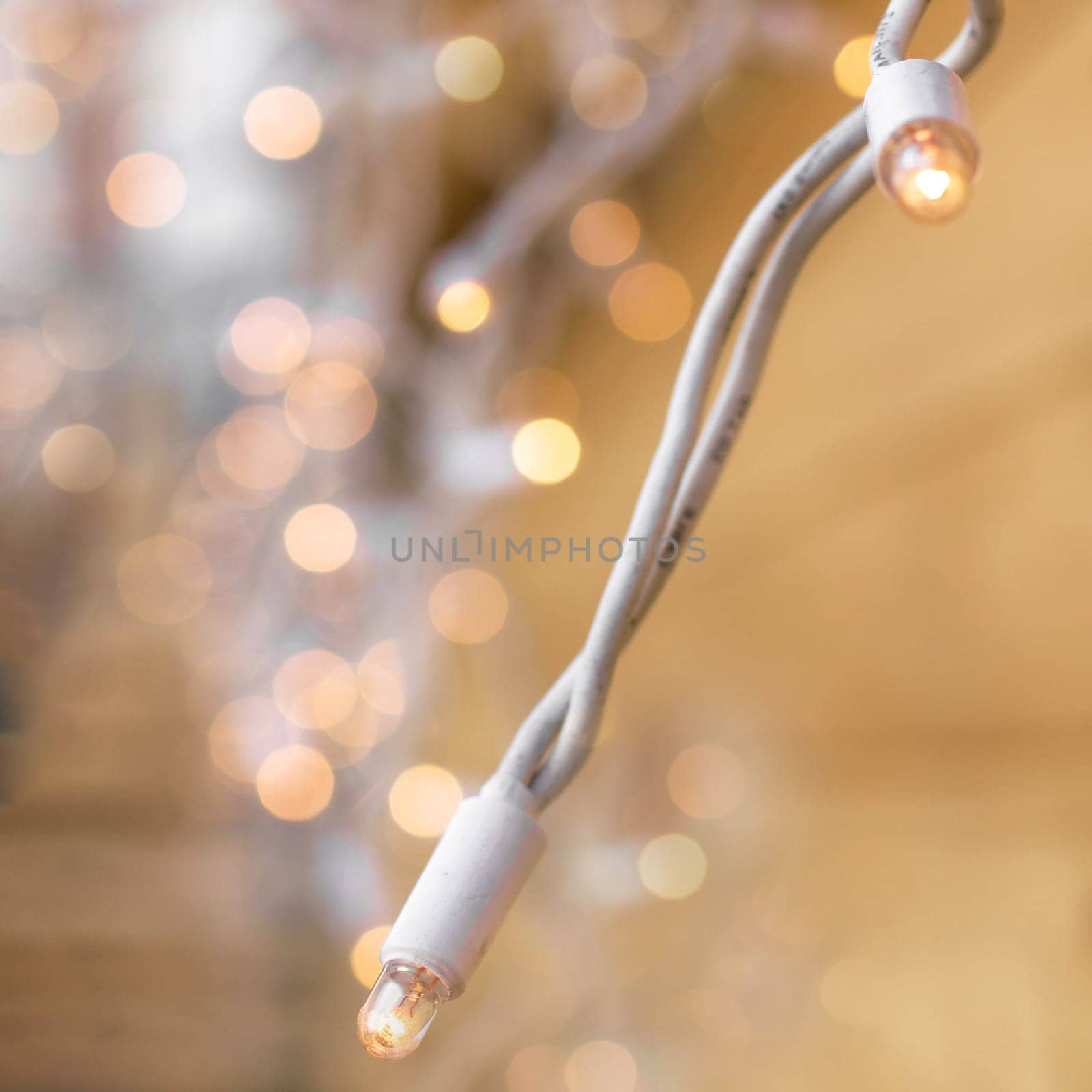 Christmas lights on blurred background