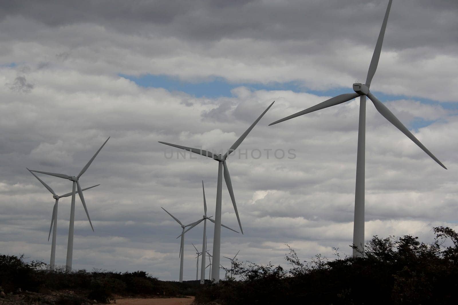 BROTAS DE MACAUBAS, BAHIA / BRAZIL - August 5, 2014: Wind farm formed by 57 wind turbines as capacity to generate up to 300 MW of electricity. (Joa Souza / Panthermedia).