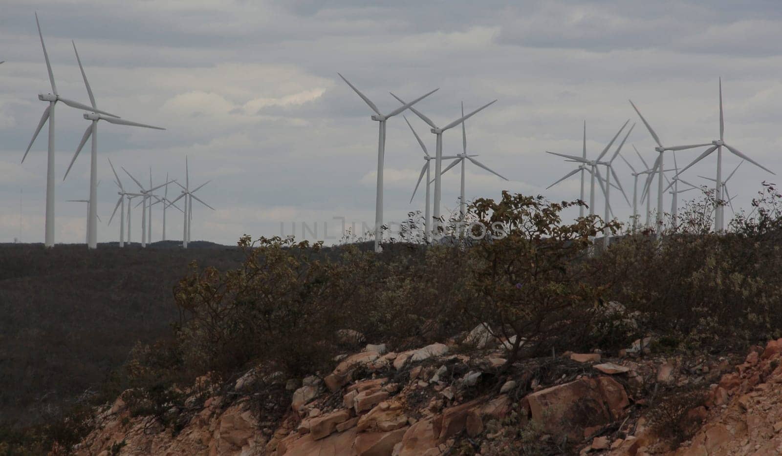 BROTAS DE MACAUBAS, BAHIA / BRAZIL - August 5, 2014: Wind farm formed by 57 wind turbines as capacity to generate up to 300 MW of electricity. (Joa Souza / Panthermedia).
