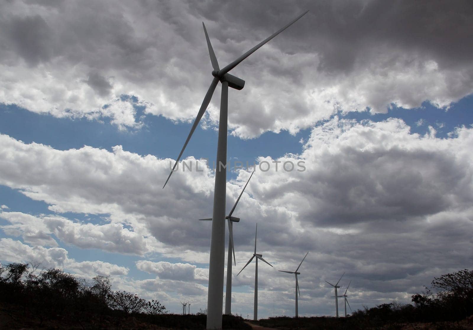 BROTAS DE MACAUBAS, BAHIA / BRAZIL - August 5, 2014: Wind farm formed by 57 wind turbines as capacity to generate up to 300 MW of electricity. (Joa Souza / Panthermedia).