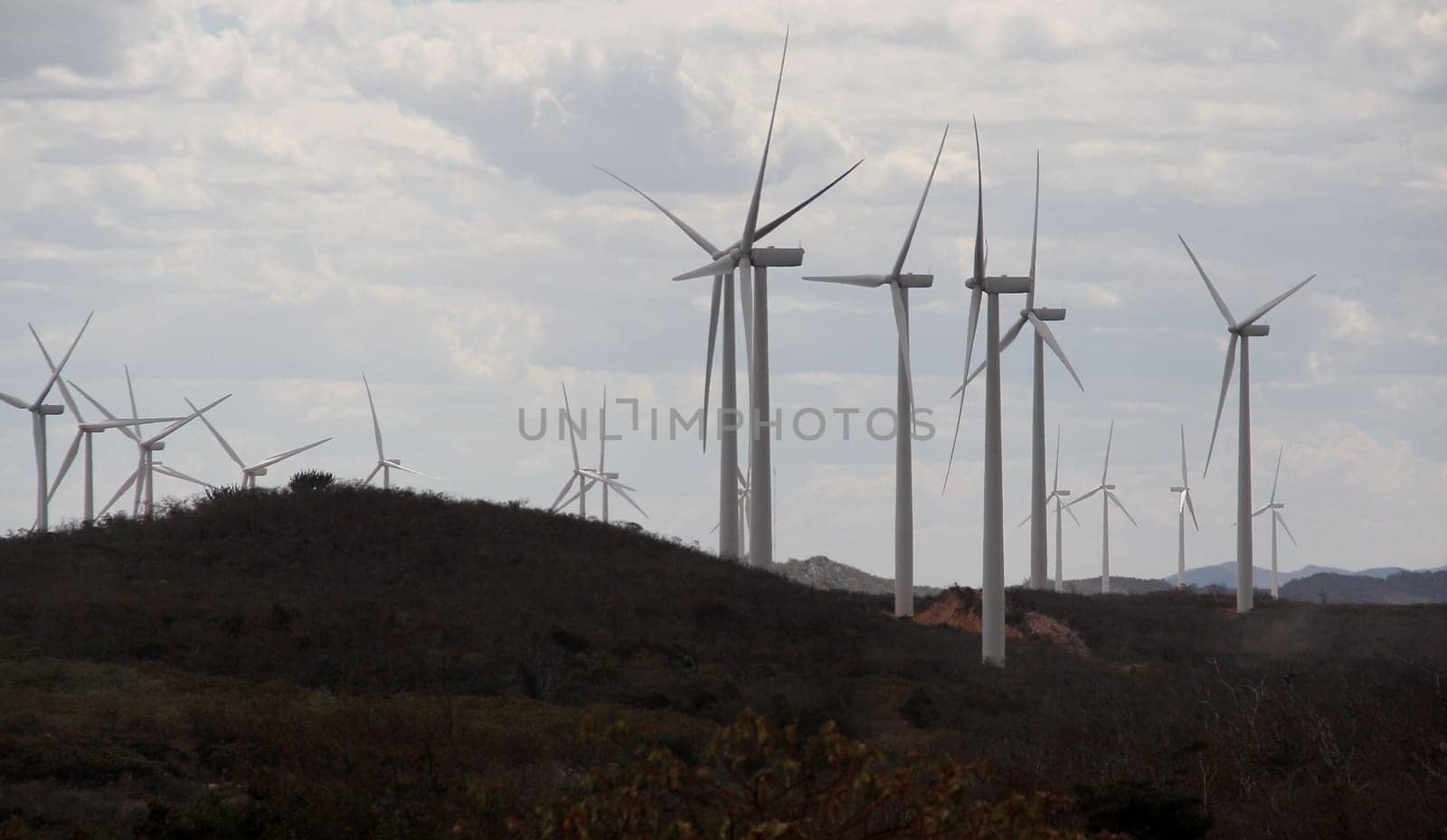 BROTAS DE MACAUBAS, BAHIA / BRAZIL - August 5, 2014: Wind farm formed by 57 wind turbines as capacity to generate up to 300 MW of electricity. (Joa Souza / Panthermedia).