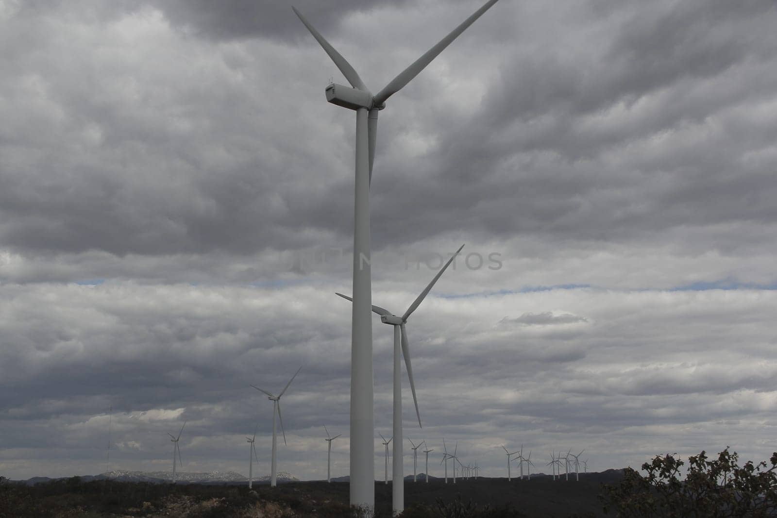 BROTAS DE MACAUBAS, BAHIA / BRAZIL - August 5, 2014: Wind farm formed by 57 wind turbines as capacity to generate up to 300 MW of electricity. (Joa Souza / Panthermedia).
