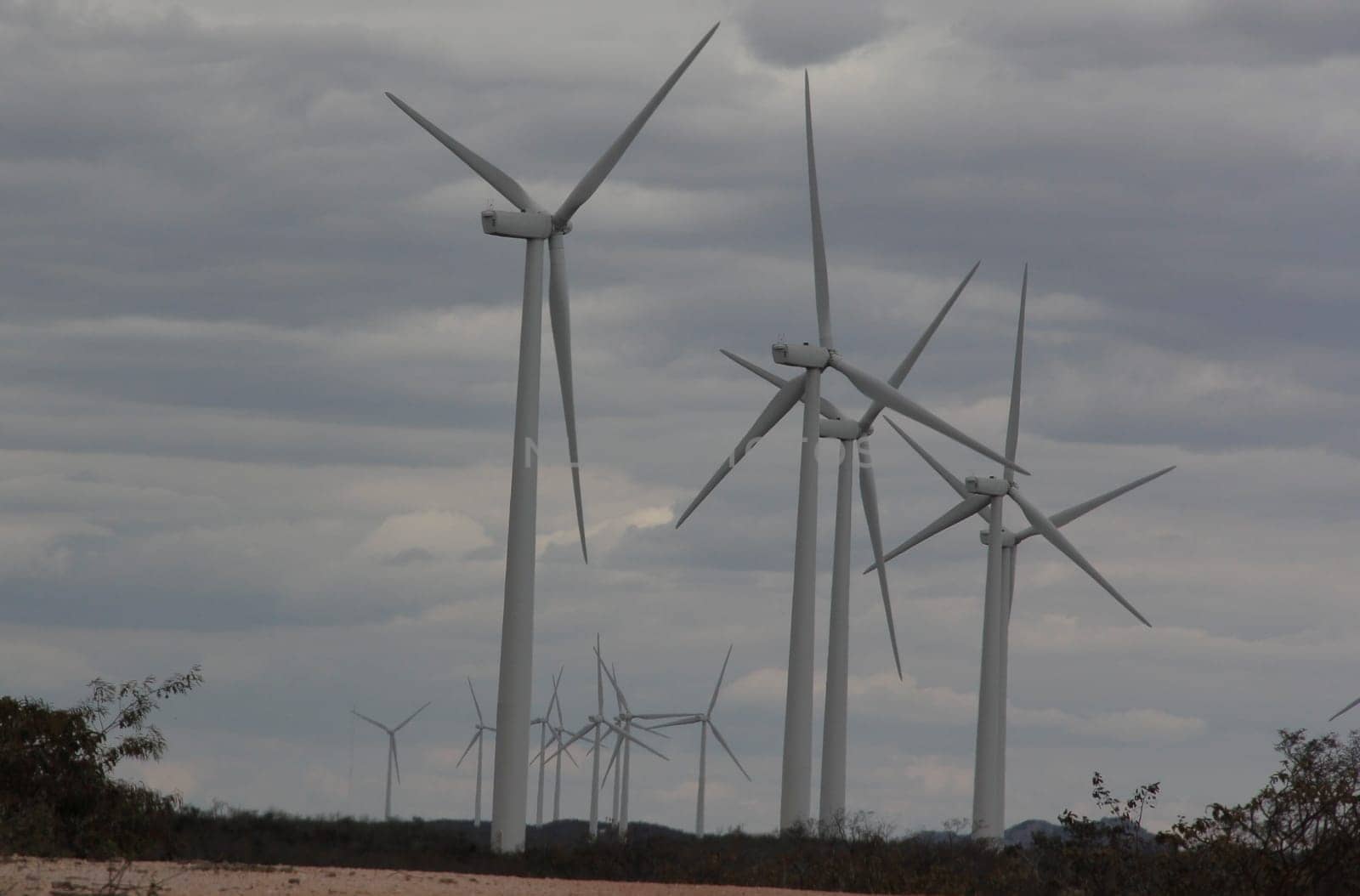 BROTAS DE MACAUBAS, BAHIA / BRAZIL - August 5, 2014: Wind farm formed by 57 wind turbines as capacity to generate up to 300 MW of electricity. (Joa Souza / Panthermedia).