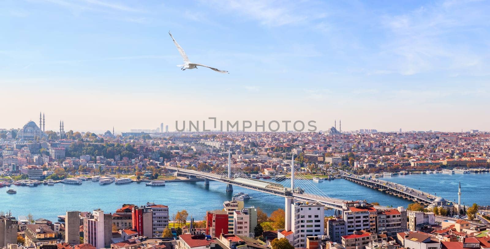 Golden Horn and the bridges of Istanbul, beautiful panorama.