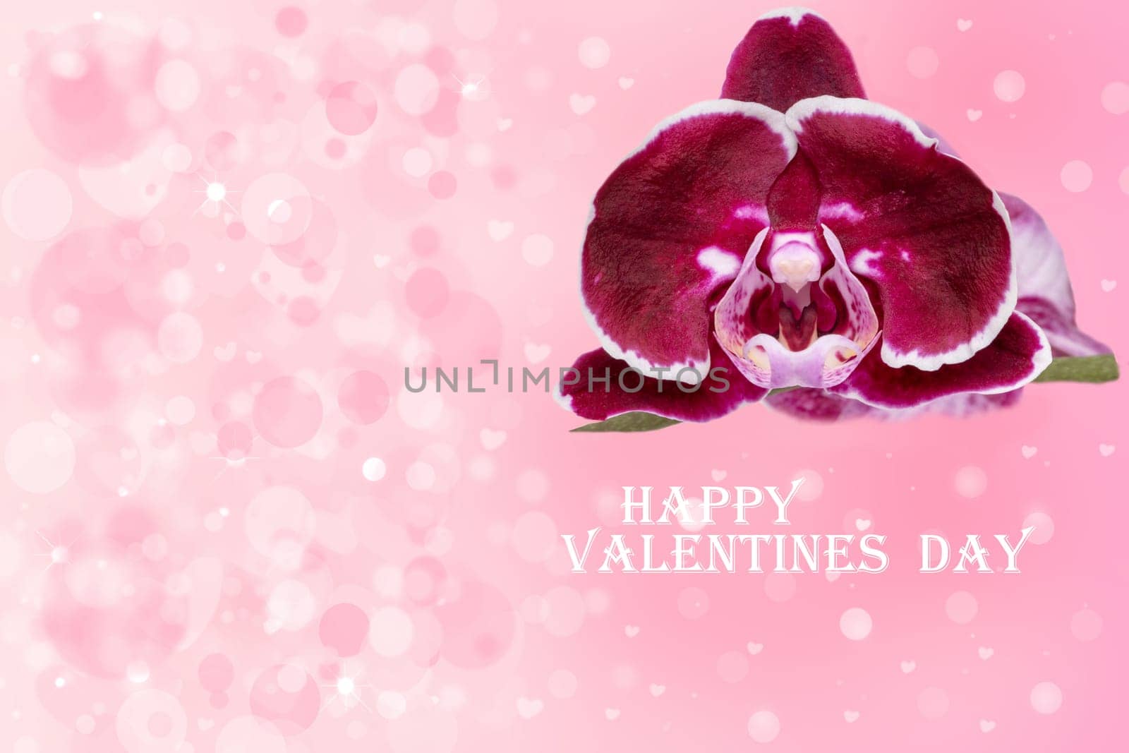 Valentines day card. Decorative greeting card with a purple orchid and with the text Happy Valentines day on an abstract delicate light pink background with hearts and bokeh circles. Space.