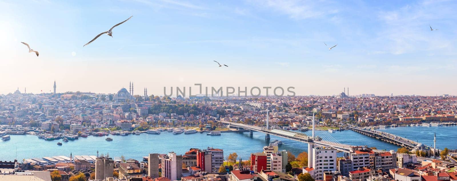 Metro bridge, the Ataturk Bridge and the skyline of Fatih district, Istanbul panorama.