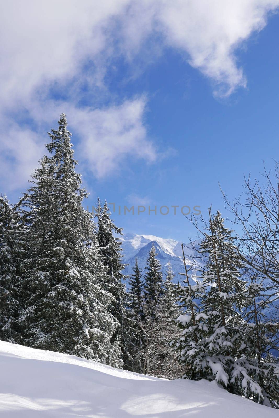 holiday at the foot of Mont Blanc in winter in the Chamonix Valley, France