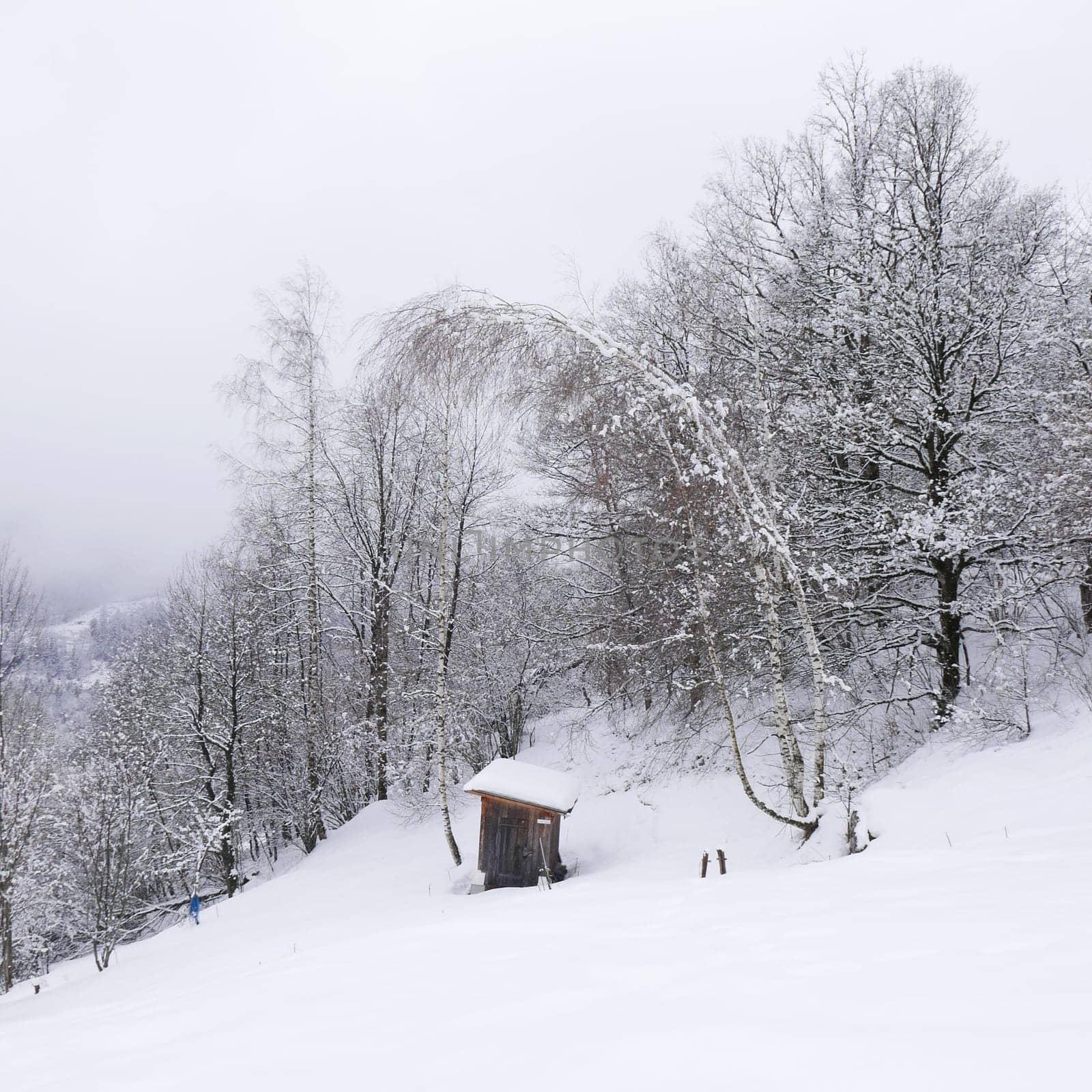 holiday at the foot of Mont Blanc in winter in the Chamonix Valley, France