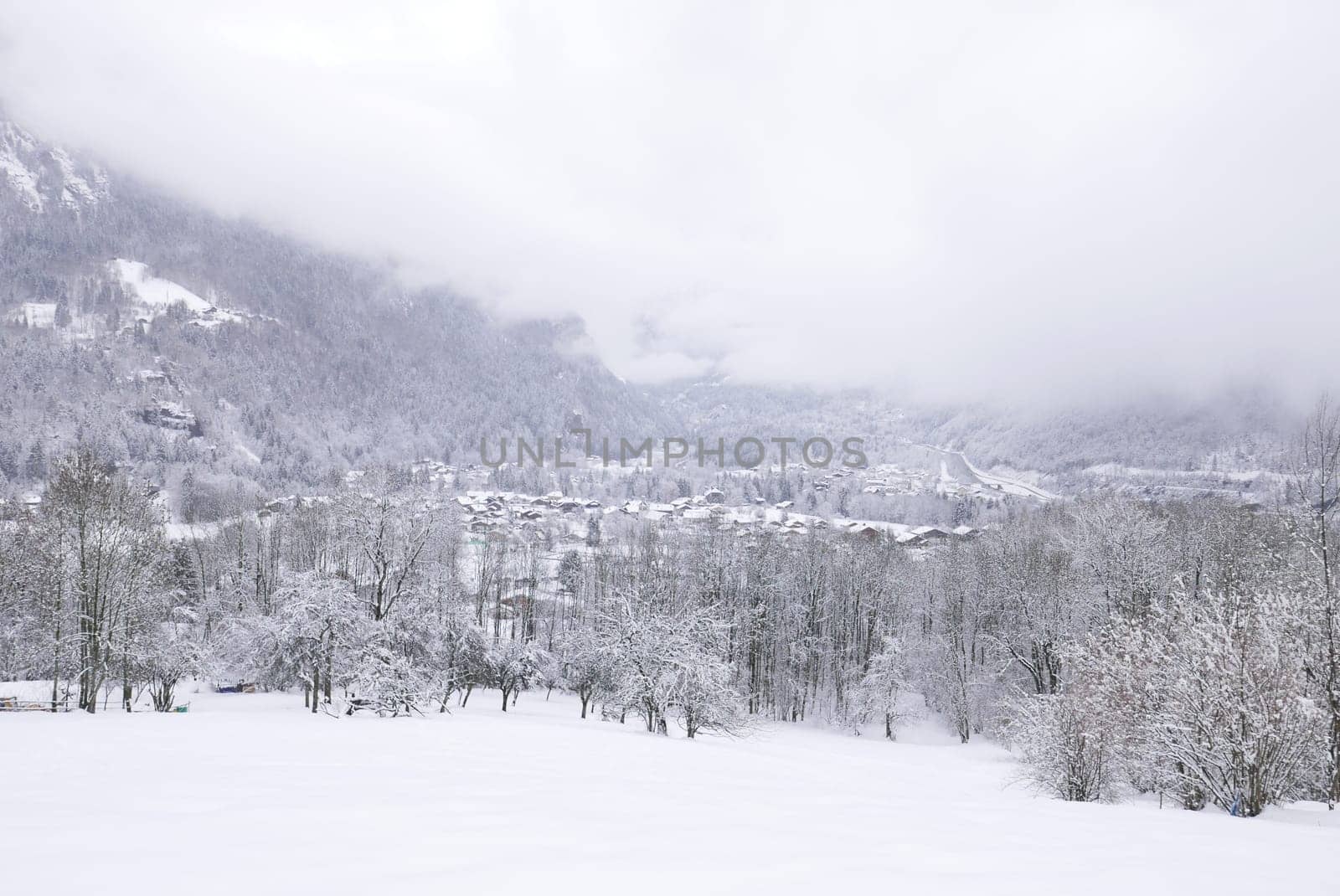 holiday at the foot of Mont Blanc in winter in the Chamonix Valley, France